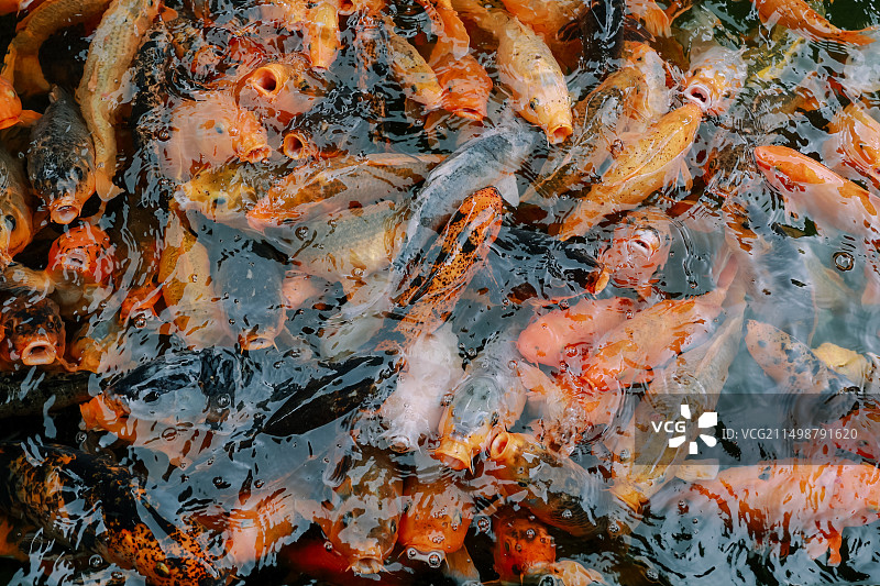 广州宝墨园图片素材