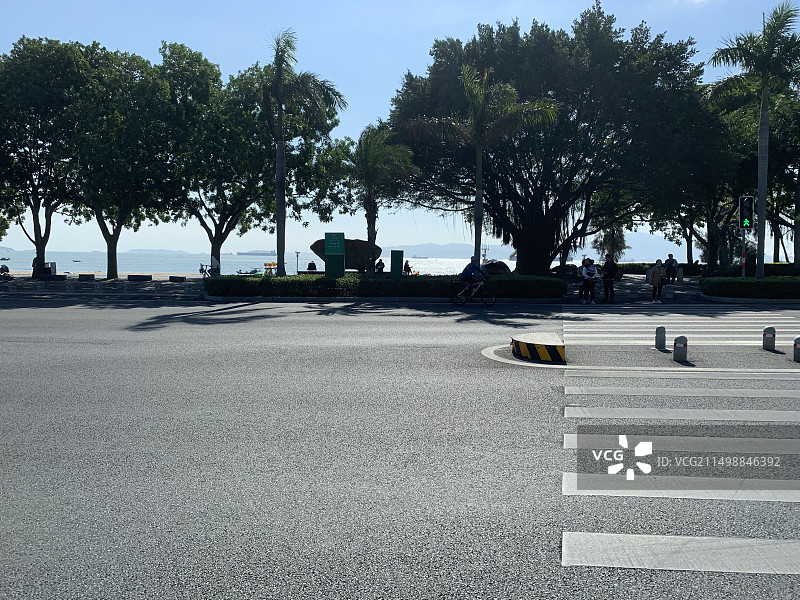 厦门环岛路，公路，树木，和远处的大海图片素材
