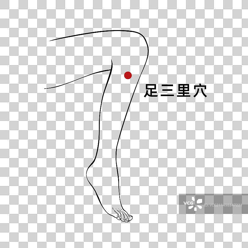 夏季养生穴位标示简易线稿元素图片素材