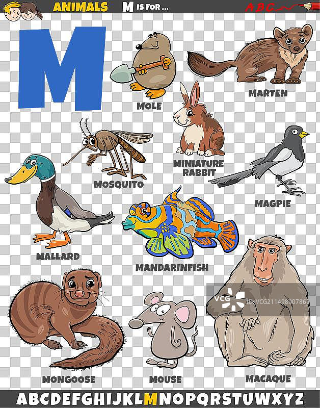 字母M的卡通动物角色图片素材