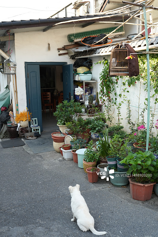 杭州馒头山社区图片素材