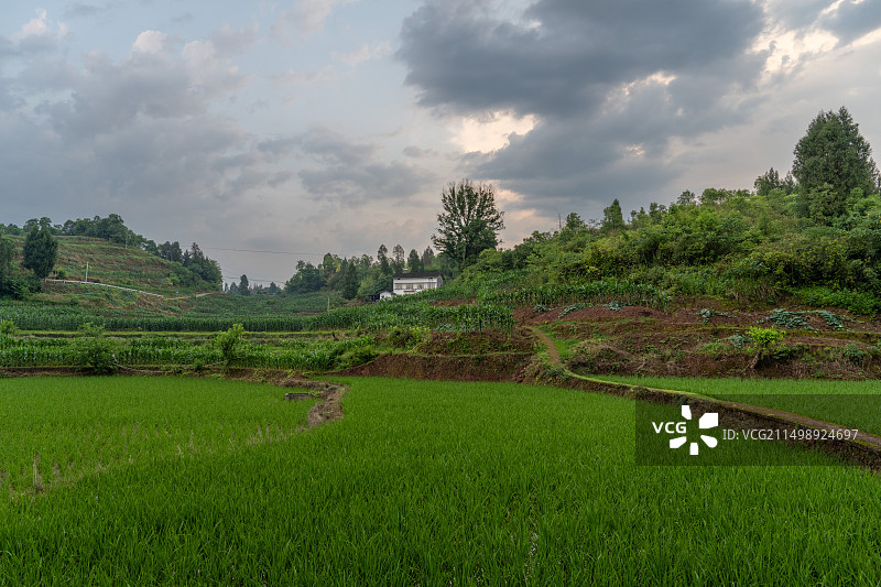 初夏重庆乡村图片素材