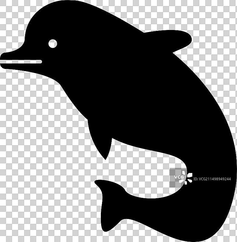 海豚图片素材