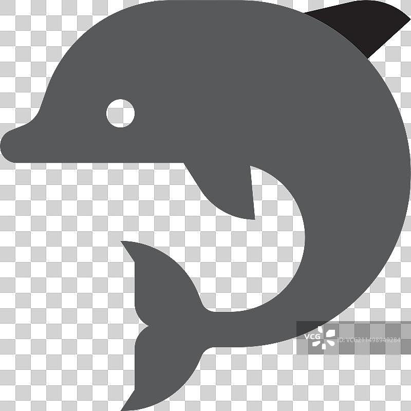 海豚图片素材
