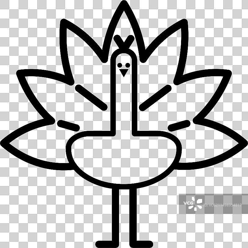 孔雀图片素材