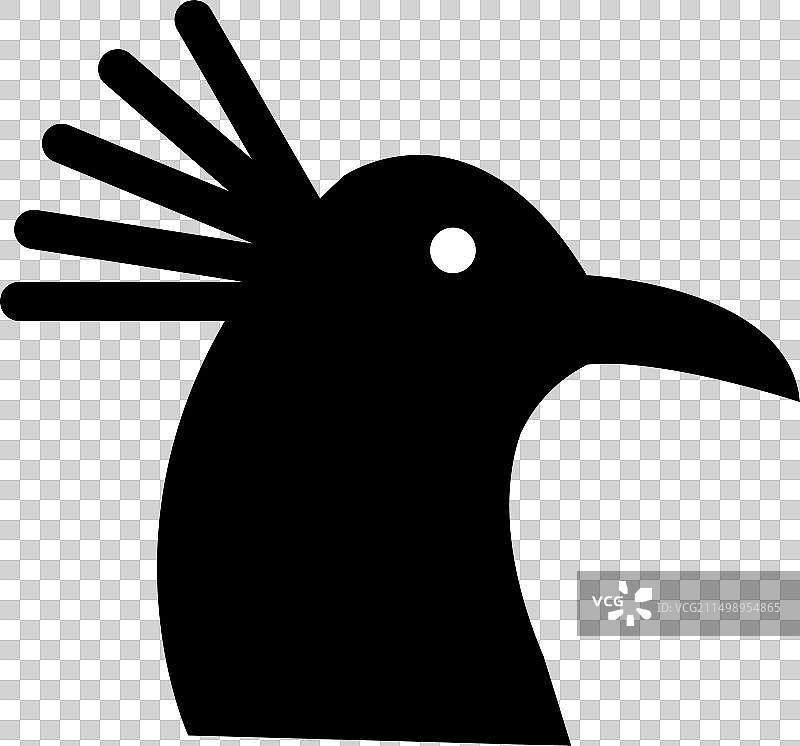孔雀图片素材