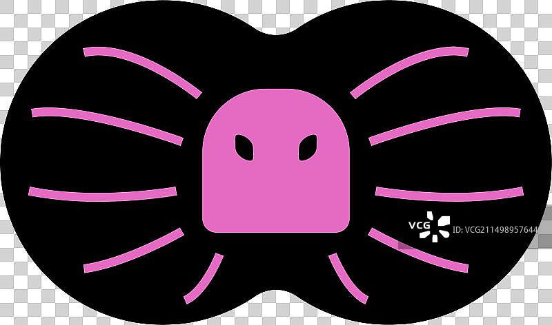 伞蜥蜴图片素材