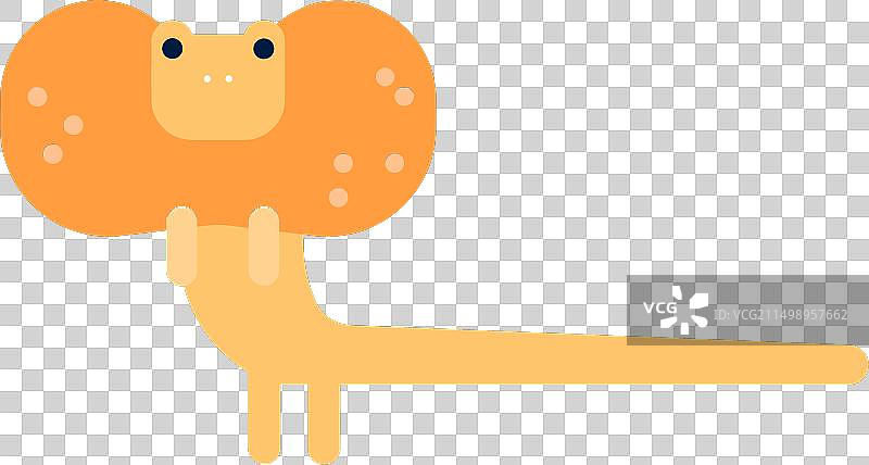 伞蜥蜴图片素材