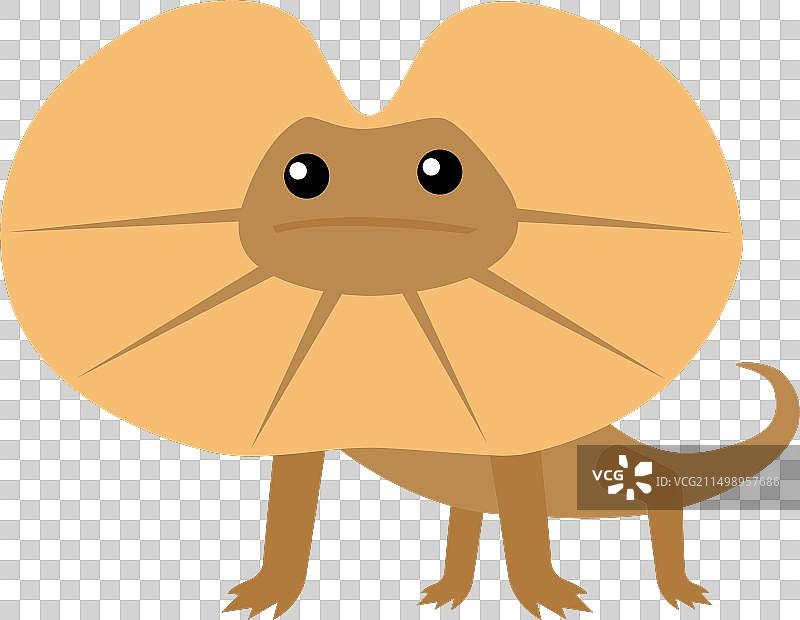 伞蜥蜴图片素材