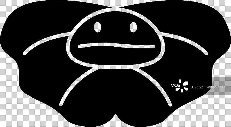 伞蜥蜴图片素材