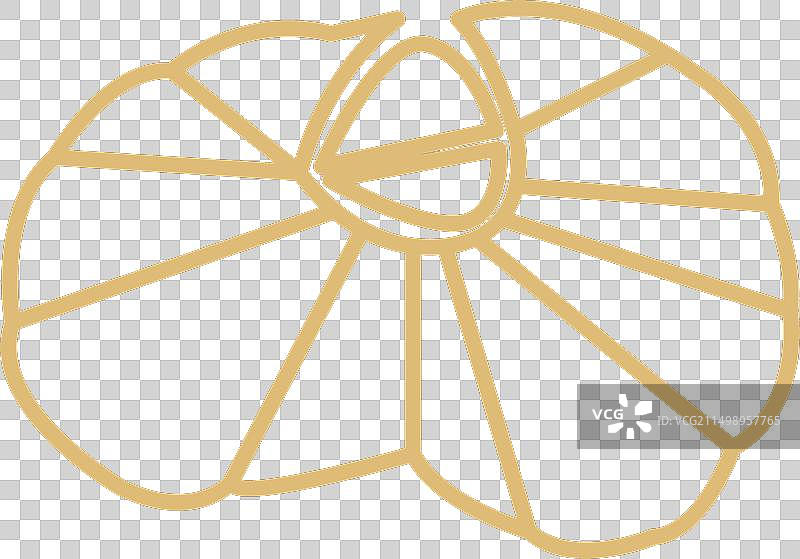 伞蜥蜴图片素材