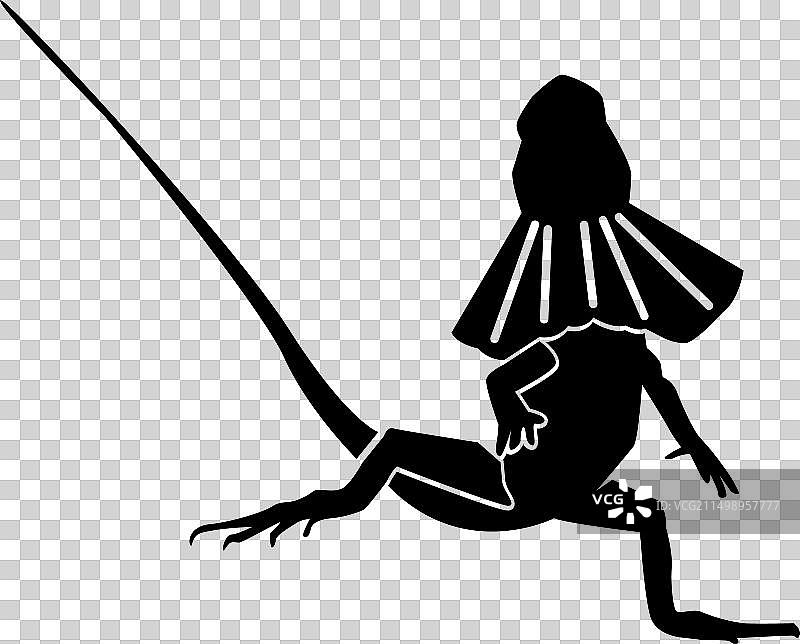 伞蜥蜴图片素材