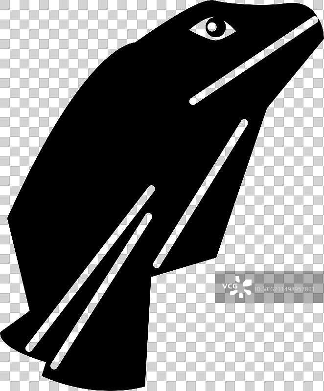 伞蜥蜴图片素材