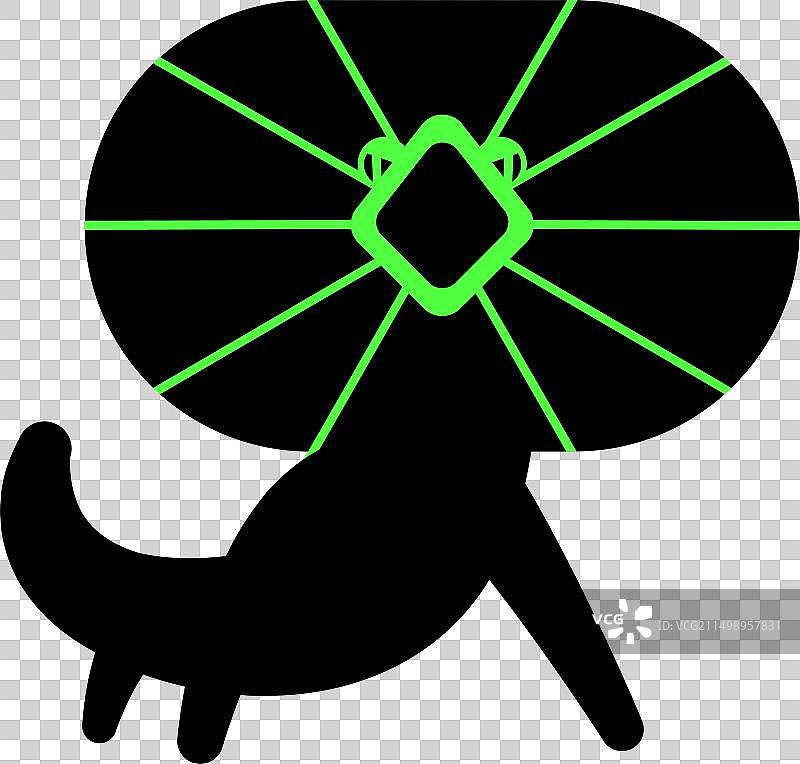 伞蜥蜴图片素材