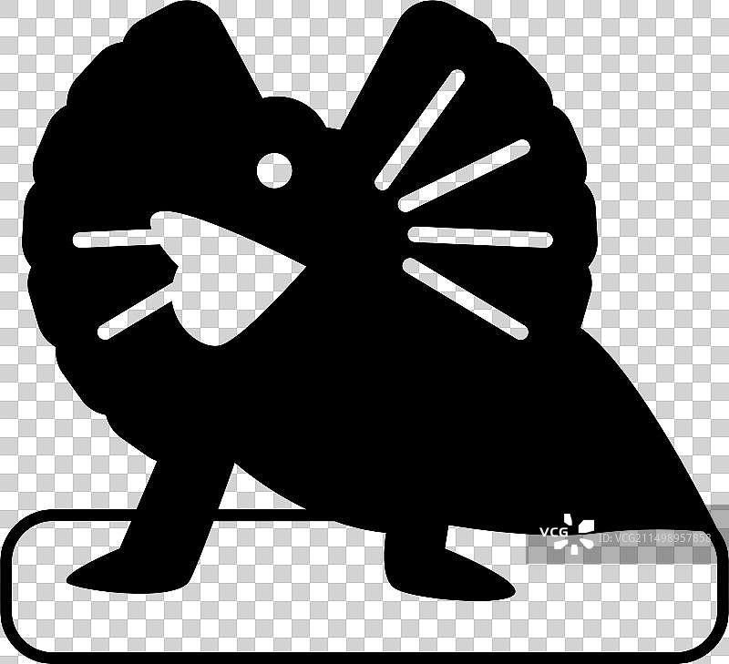 伞蜥蜴图片素材