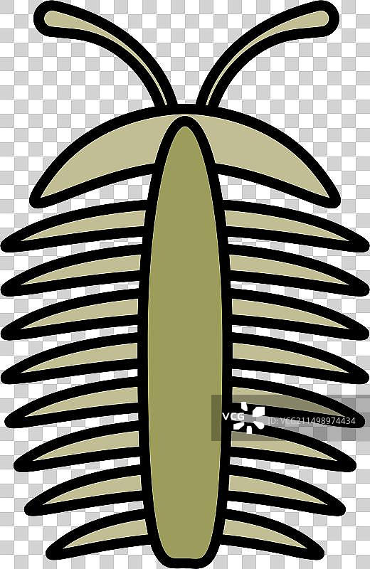 三叶虫图片素材