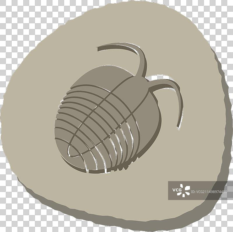 三叶虫图片素材