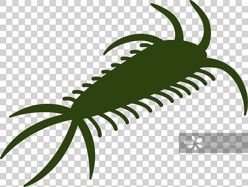 三叶虫图片素材