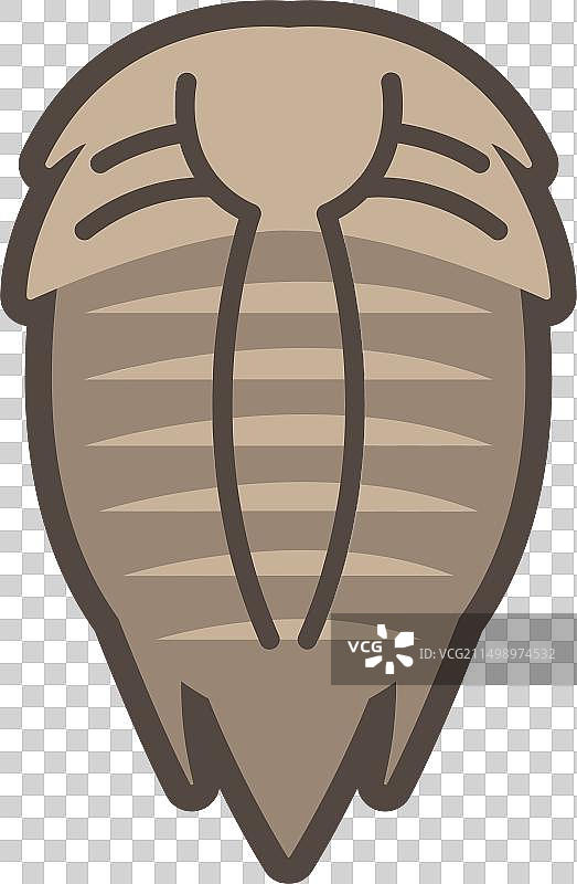 三叶虫图片素材