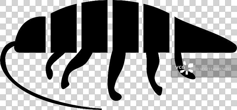 三叶虫图片素材