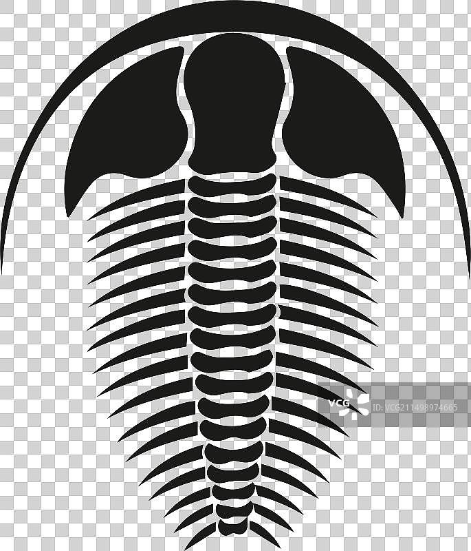 三叶虫图片素材