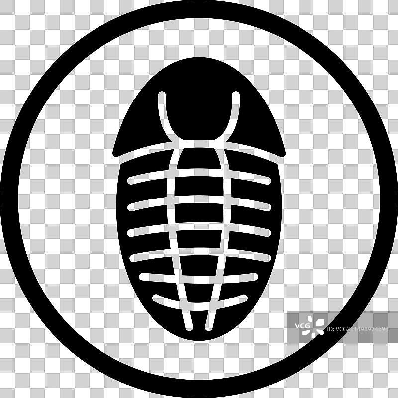 三叶虫图片素材