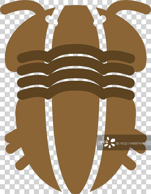 三叶虫图片素材