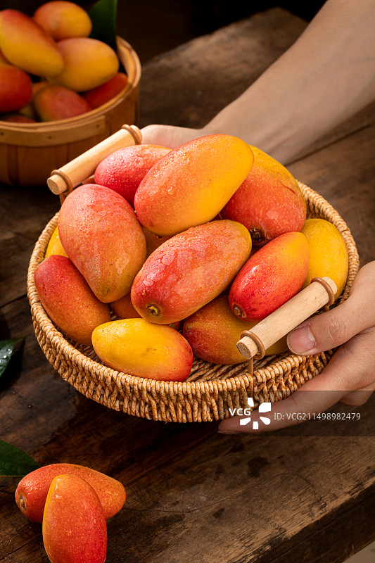 芒果 贵妃芒图片素材