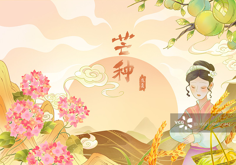 中国风插画之二十四节气芒种图片素材