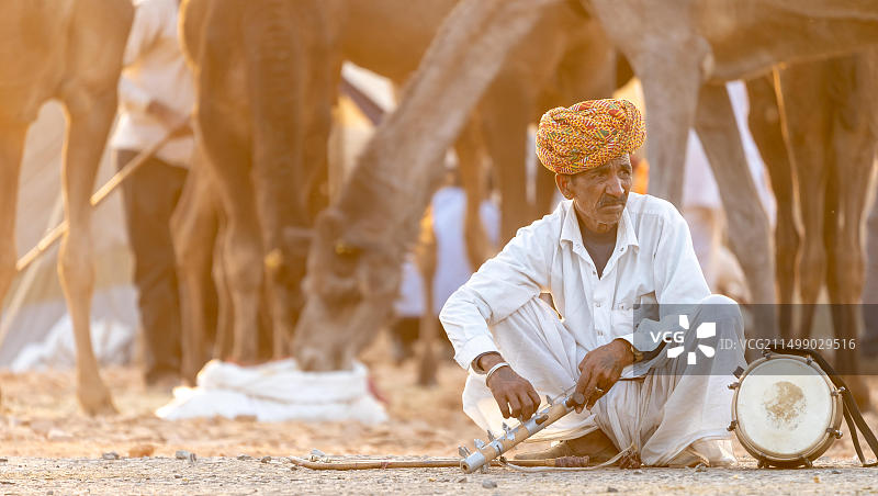 拉贾斯坦邦普什卡集市上的民间音乐家图片素材