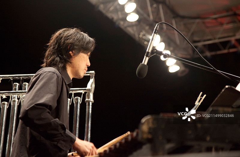 底特律交响乐团户外音乐会图片素材