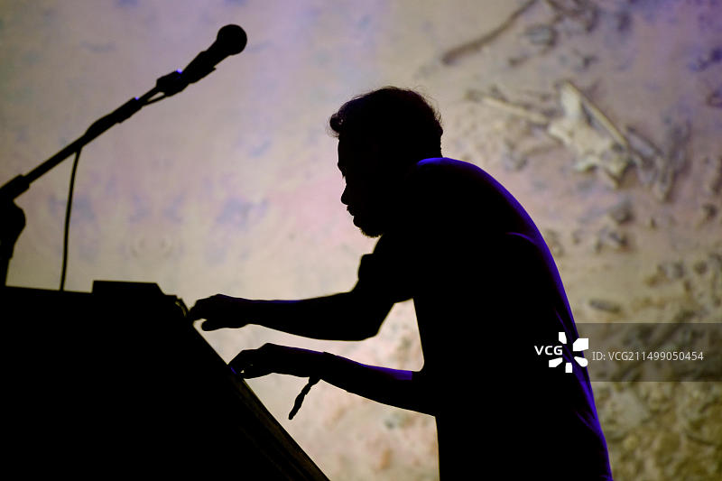 巴塞罗那声纳音乐节：森林之剑演出图片素材