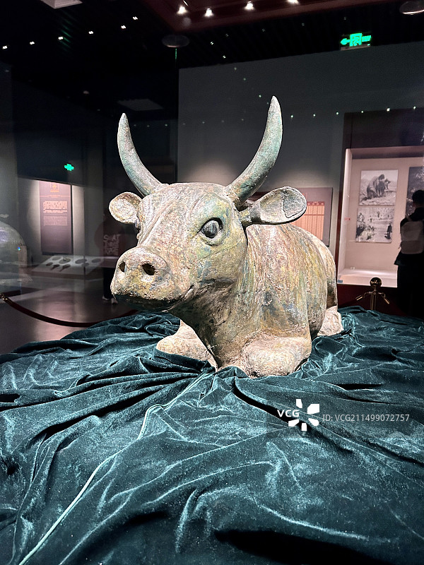 宁夏博物馆镇馆之宝-鎏金铜牛图片素材