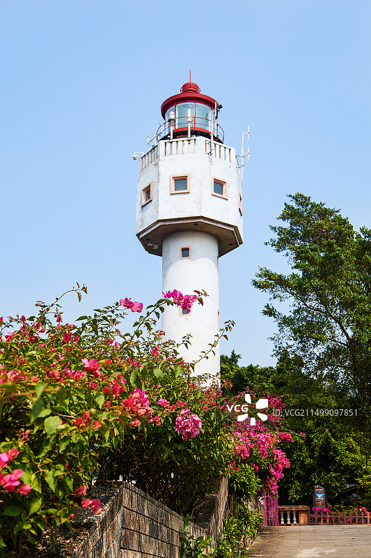 涠洲岛 灯塔 繁花图片素材