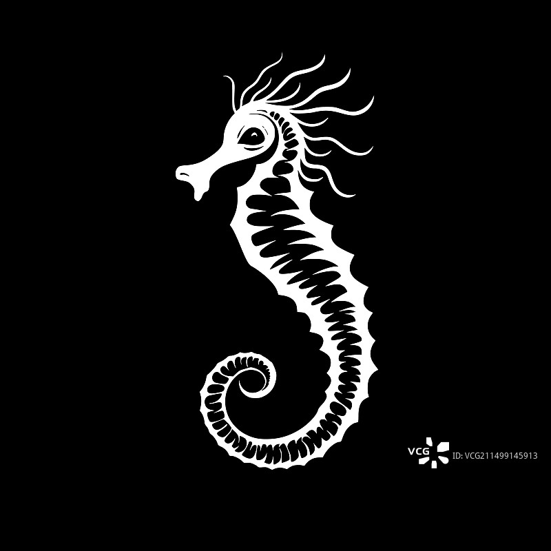 黑白海马图片素材