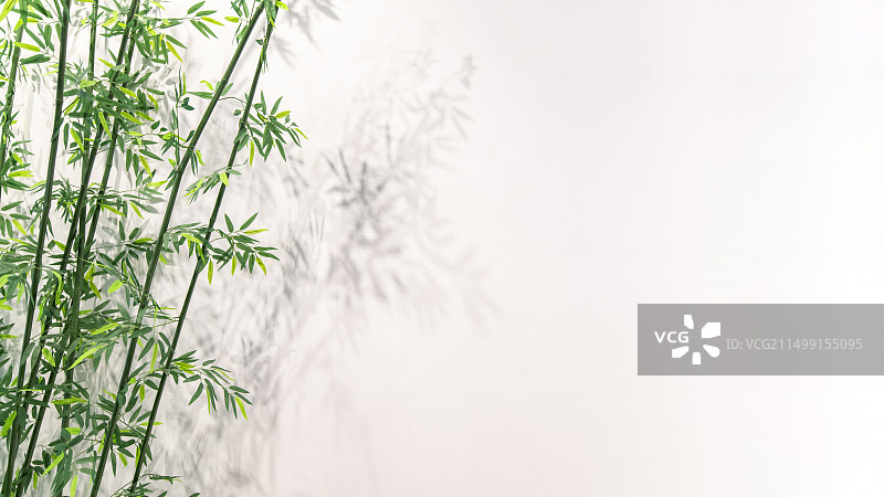 中国风竹子背景图图片素材