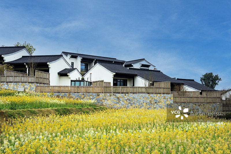 蓝天白云下的花海乡居图片素材