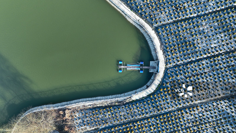 航拍苗圃边上的一个人工湖图片素材