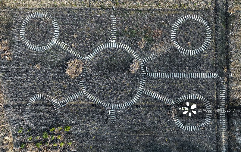 四个小圆和一个小圆构成的图形图片素材