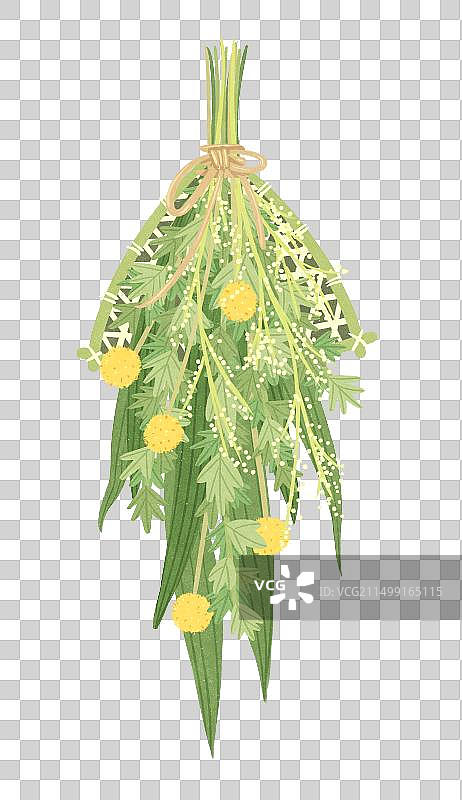 端午节艾草花束图片素材
