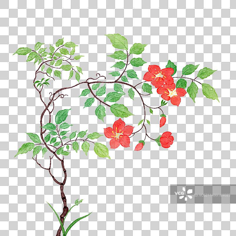 手绘小清新花草图片素材