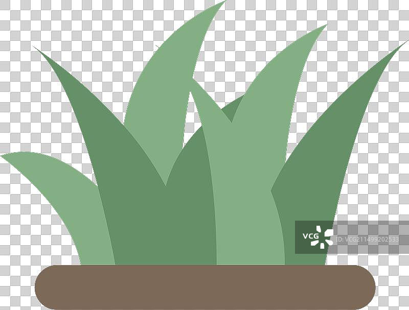 草图片素材