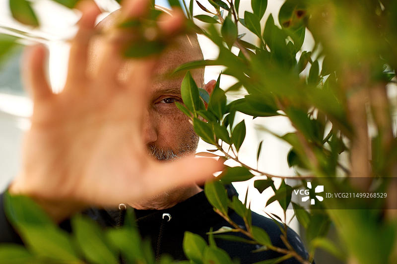 音乐艺术家、制作人兼动物权益保护者Moby在洛杉矶Little Pine餐厅图片素材