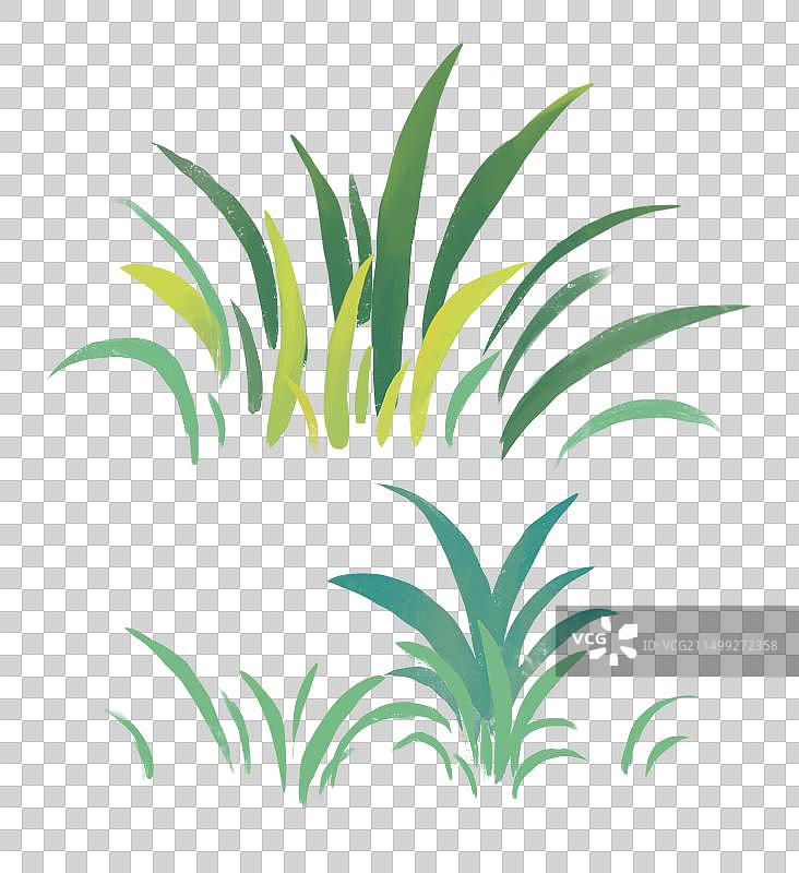 夏天节气插画植物草丛图片素材