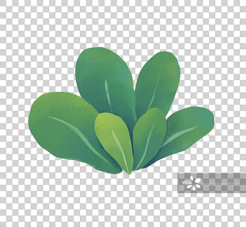 夏天节气插画植物草丛图片素材