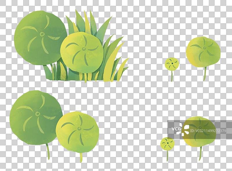 夏天节气插画植物草丛图片素材