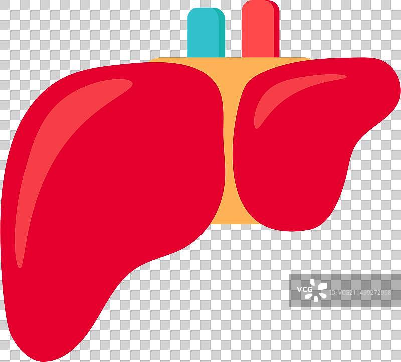健康人体肝脏过滤器官图标图片素材