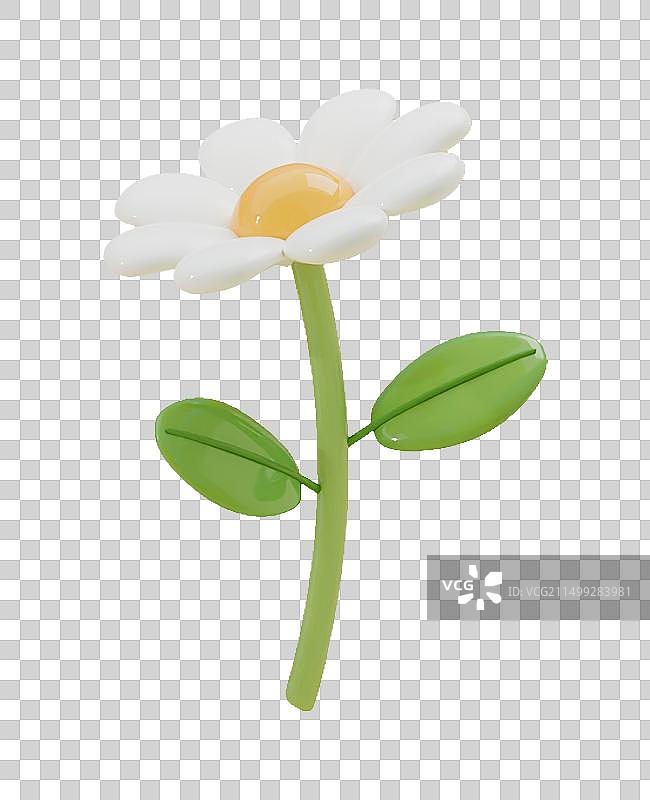 夏天春天花朵3D元素雏菊大滨菊插画图片素材