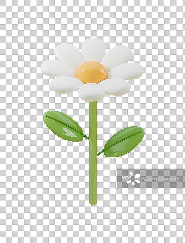 夏天春天花朵3D元素雏菊大滨菊插画图片素材