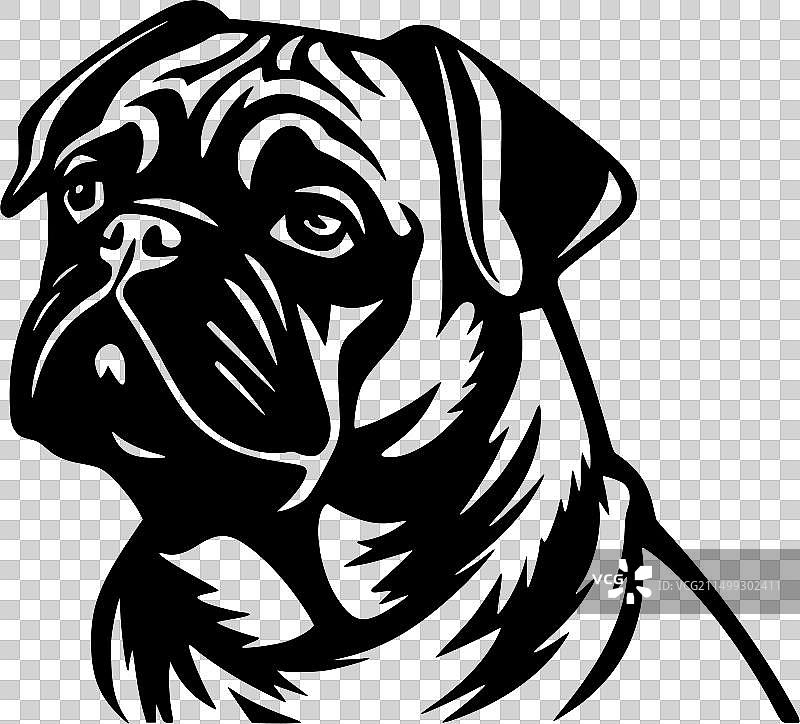 黑白色的哈巴狗图片素材